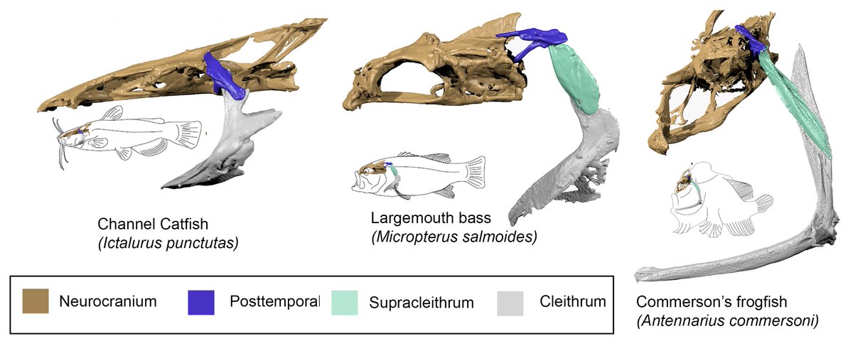 Ariel Camp tweet media