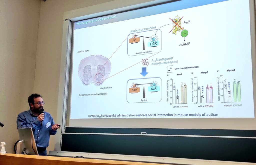 FrenchPurine's tweet image. @JrmeBecker1 présente comment des #fragments d&apos;anticorps peuvent moduler l&apos;activité du récepteur à l&apos;adénosine A2A. #FPC2022 #bioinformatique
@UnivTours @JulieMerrer @INRAE_France @Inserm @CNRS @MabImprove