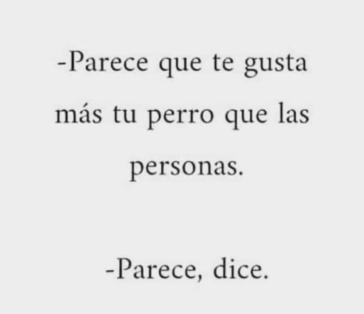 fflorlynch's tweet image. Cuánto más conozco a la gente, más quiero a mi perro❤️‍🩹