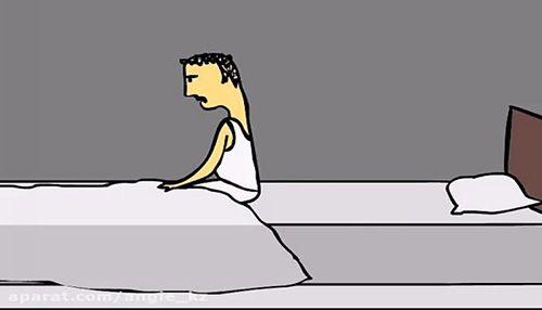 سعید (س.ع.ی)🎲 tweet media