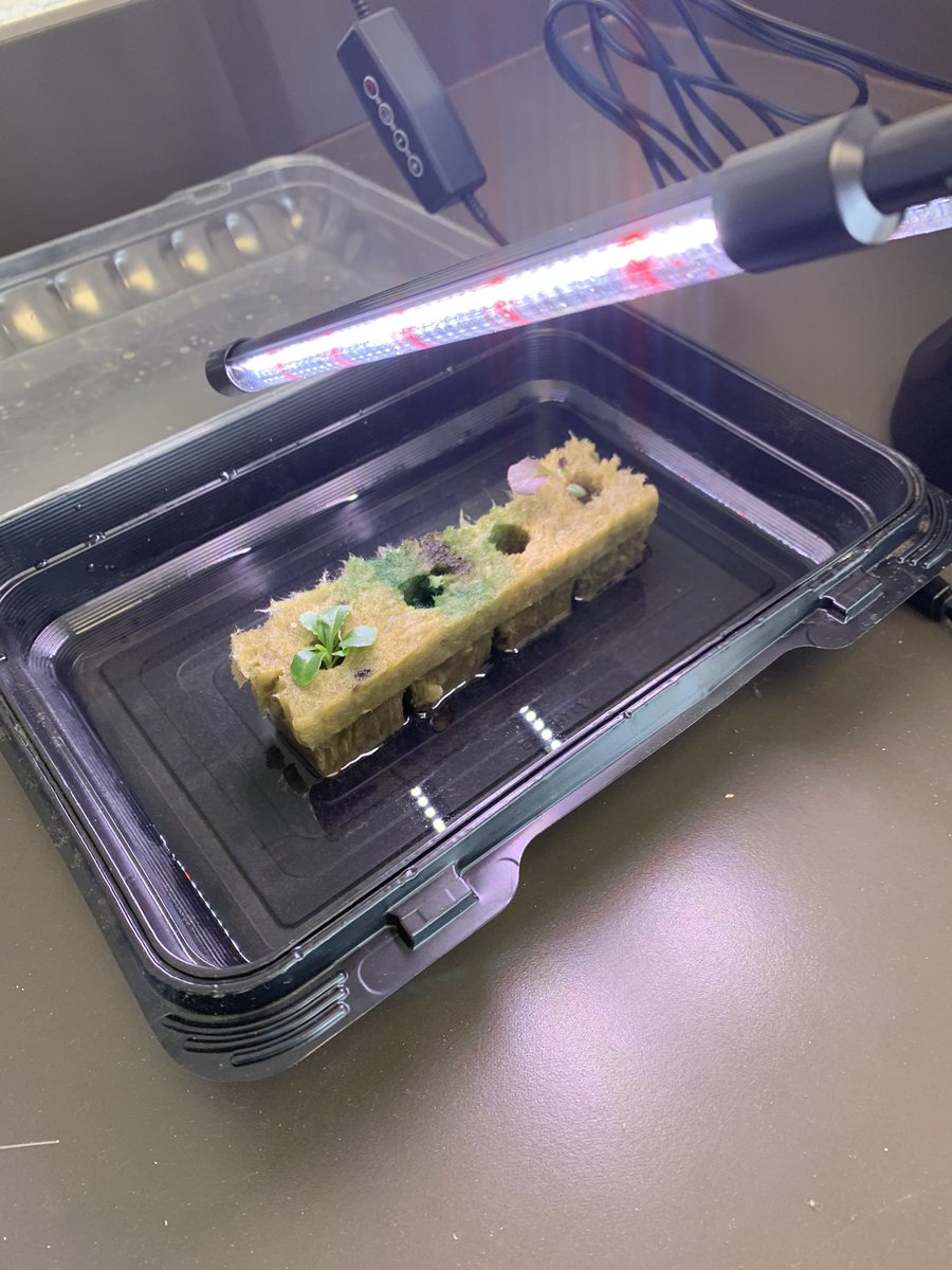 Our tower gardens are beginning in our STEAM labs! So excited to see how they enhance our labs and student learning! #baldwinproud <a href="/juiceplus/">Juice Plus</a>
