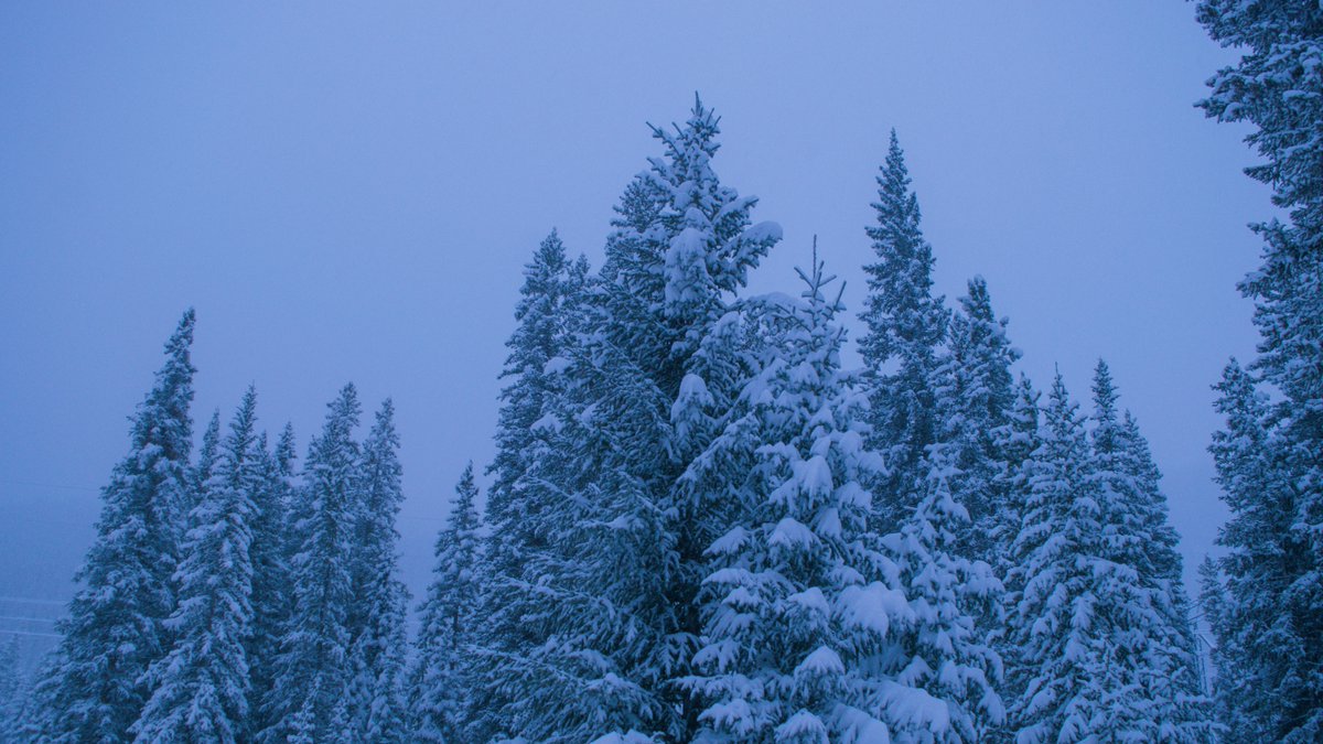 jonathanvinsonn's tweet photo. as the snowfalls https://t.co/MZXi6OWIPF