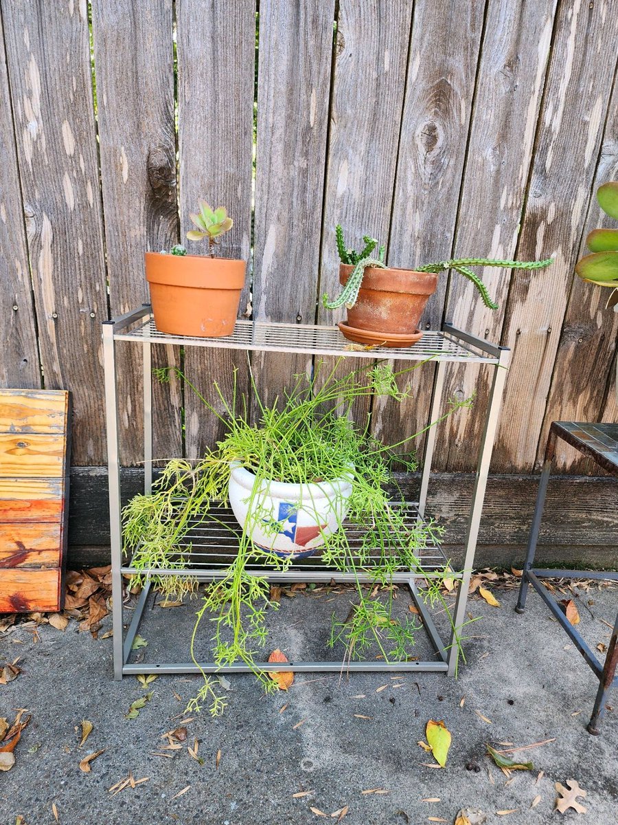 Turned a shoe rack into a plant stand. #retirementjoy