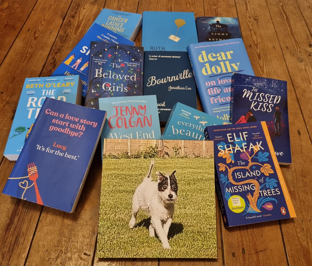 bookwormblogss's tweet photo. Please check out my Instagram post today
https://t.co/lU8JltaTFL

My blue flatlay featuring my little dog Geordie is to help @sallyhughes64i1 with her fundraiser for The Blue Cross

#bookbloggers #thebluecross #booktwt #BookTwitter https://t.co/Zb8yUI8rKc