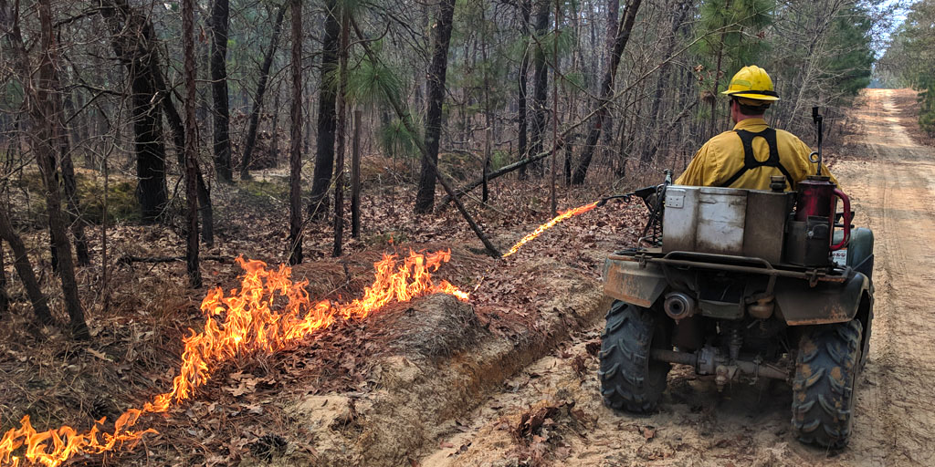 NCWildlife's tweet photo. Prescribed burns are being conducted on Chowan Swamp Game Land in Gates County today, so area residents may see or smell smoke in the air.
Learn more about prescribed burns at: https://t.co/MQIWthCZyy
#PrescribedFire #GatesCo #ENCNews https://t.co/3Rg7gxDzBH