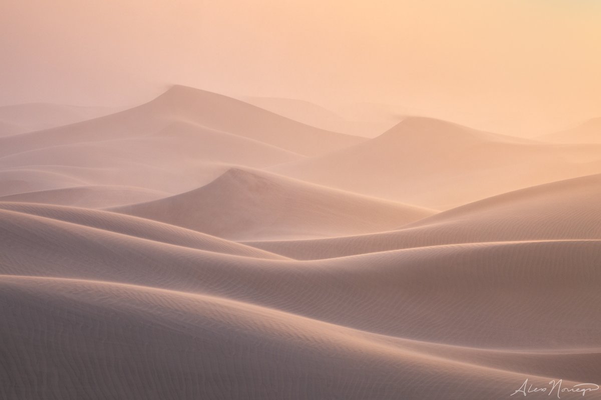 noriegaphoto's tweet image. For my birthday today, I'm giving myself the miracle of photobirth - by releasing the Death Valley collection I've had gestating for 9 months: alexnoriega.com/2022

Now, to go eat an entire Funfetti cake for breakfast. It's my BIRTHDAY, so I can do whatever the HELL I want!