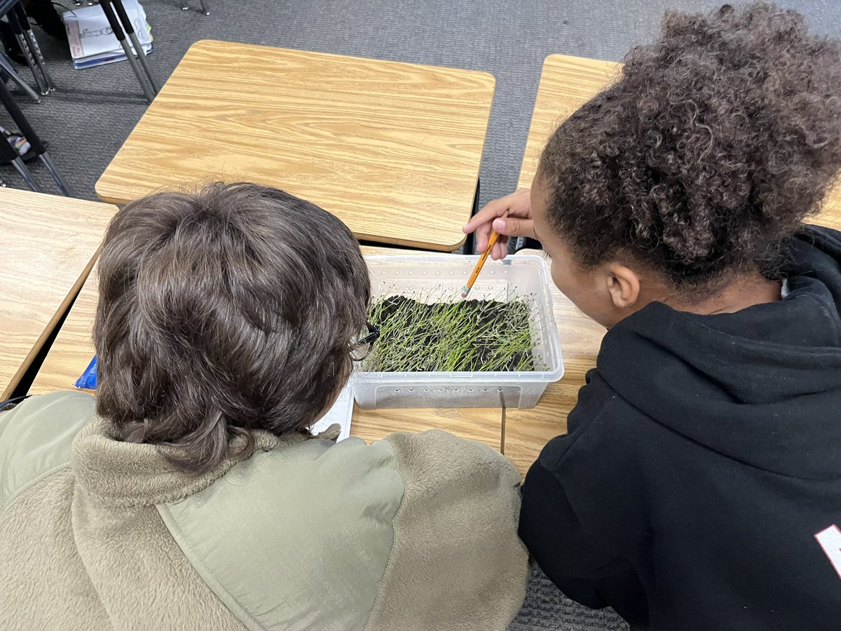 Kelly Haller tweet media