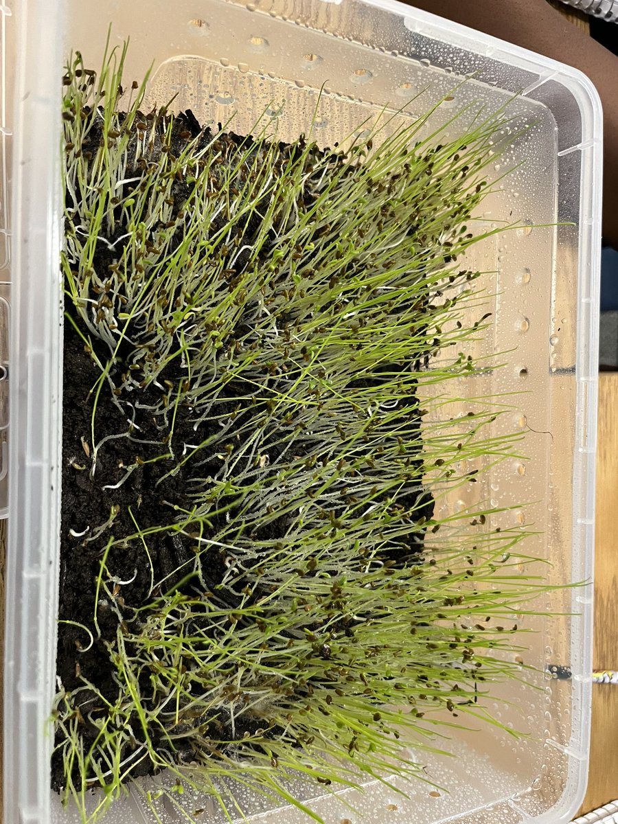 Kelly Haller tweet media