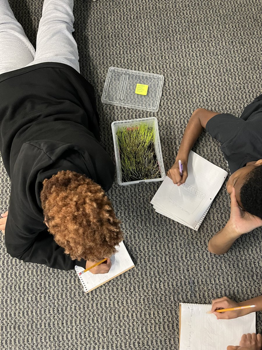 Kelly Haller tweet media