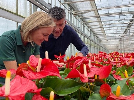 Bij de Groene Tint zijn ze in januari van dit jaar gestart met het maximaal biologisch telen van de anthuriums. Samen met van Iperen zet onze specialist Marjolein haar ervaring uit diverse praktijkproeven in om met name pepertrips te bestrijden. 

koppert.nl/nieuws-en-info…