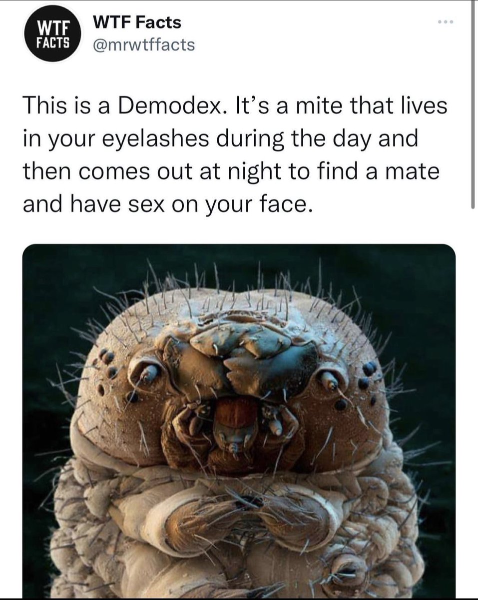 It’s kind of adorable, no?