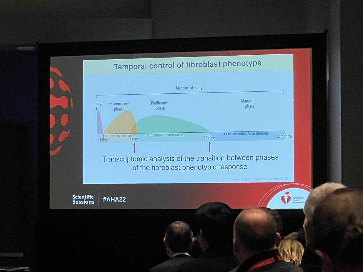 Small cells causing big trouble - intricacies of fibroblast signaling in fibrosis <a href="/AHAScience/">AHA Science</a> <a href="/AHA_Research/">AHA Research</a> <a href="/TMHalePhD/">Taben M. Hale, PhD</a> <a href="/bobbie_garvin/">Bobbie Garvin, PhD</a> #AHA