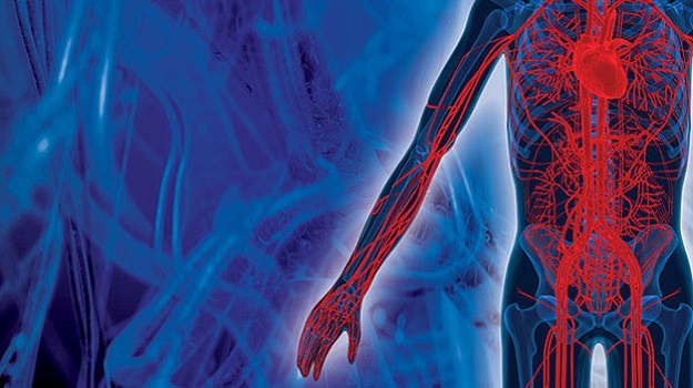 The BEST-CLI trial showed among pts w/ CLTI in whom both surgical &amp; endovascular interventions were feasible, #cvSurg #revasc w/ great saphenous venous conduit was superior to endovascular intervention in reducing major adverse limb events or death. bit.ly/3FUba4P #AHA22