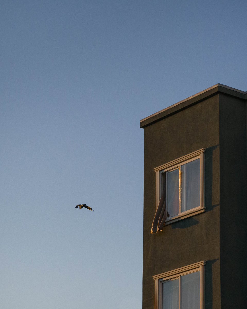 A short story about freedom