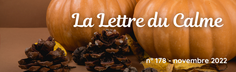 La Lettre du Calme de novembre 2022 - mailchi.mp/9ef13f790e43/l… Lâcher-prise, intelligence émotionnelle, Ikigaï, acouphènes...
#lacherprise #QE #intelligenceemotionnelle #ikigai #acouphenes