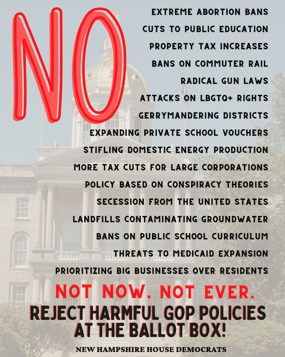 NHHouseDems's tweet photo. For the past two years, @NHGOP has embraced conspiracy theories, stifled economic progress, attacked individual rights, and saddled Granite Staters with long-term property tax increases.

Support @NHHouseDems and REJECT harmful GOP policies at the ballot box tomorrow! #NHPolitics https://t.co/r63fZVDR3a