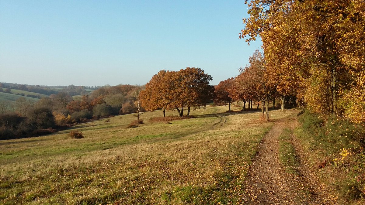 A big thank you to our Trustees!

Nov 7th to 11th is National Trustees' Week, and we want to say THANK YOU to all our Trustees for your time, energy and commitment in support of the charity, helping to protect and promote the Hertfordshire 
countryside for everyone!