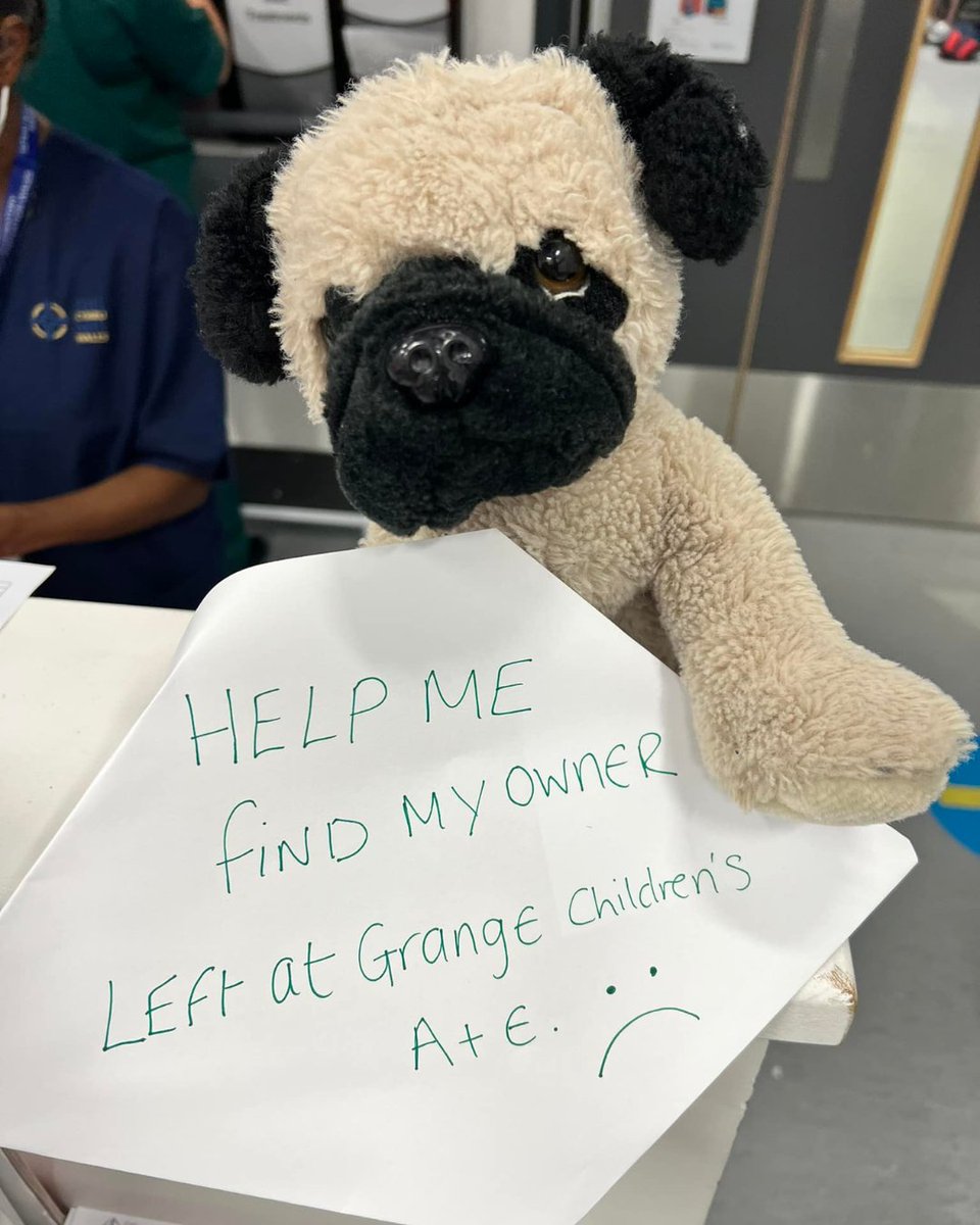 Teddy has been left at the Children Assessment Unit at The Grange University Hospital. 

Share this post to help him get home safely. ❤