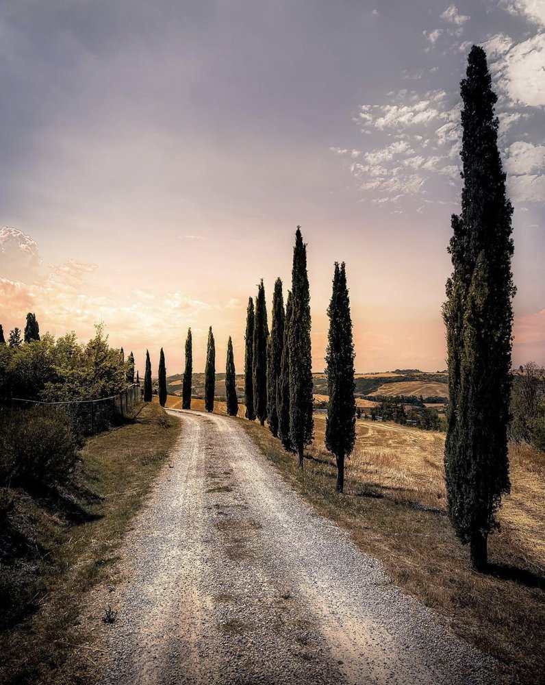 VFToscana's tweet photo. I cipressi e la Collegiata sono i simboli di #SanQuiricodOrcia, un borgo figlio della #ViaFrancigena che custodisce molte bellezze da scoprire.
👉 https://t.co/rgSxVQdfz9

📸 IG simone.vidotti
IG demanestis https://t.co/fGI9P4qR20