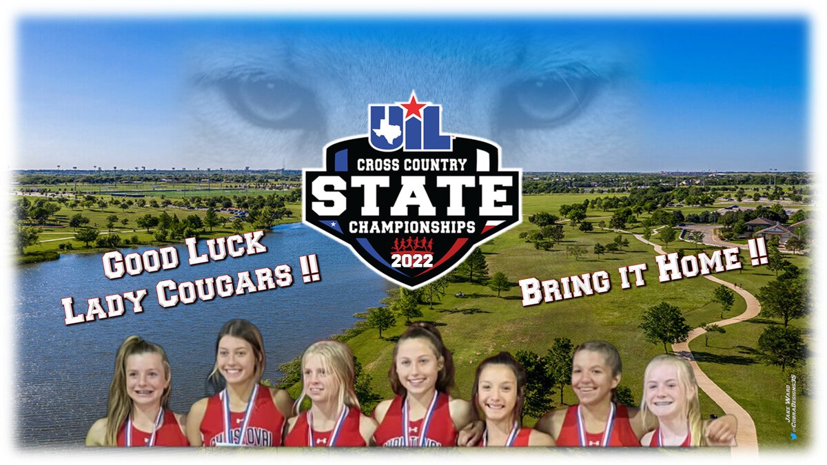 CobraDesigns tweet media