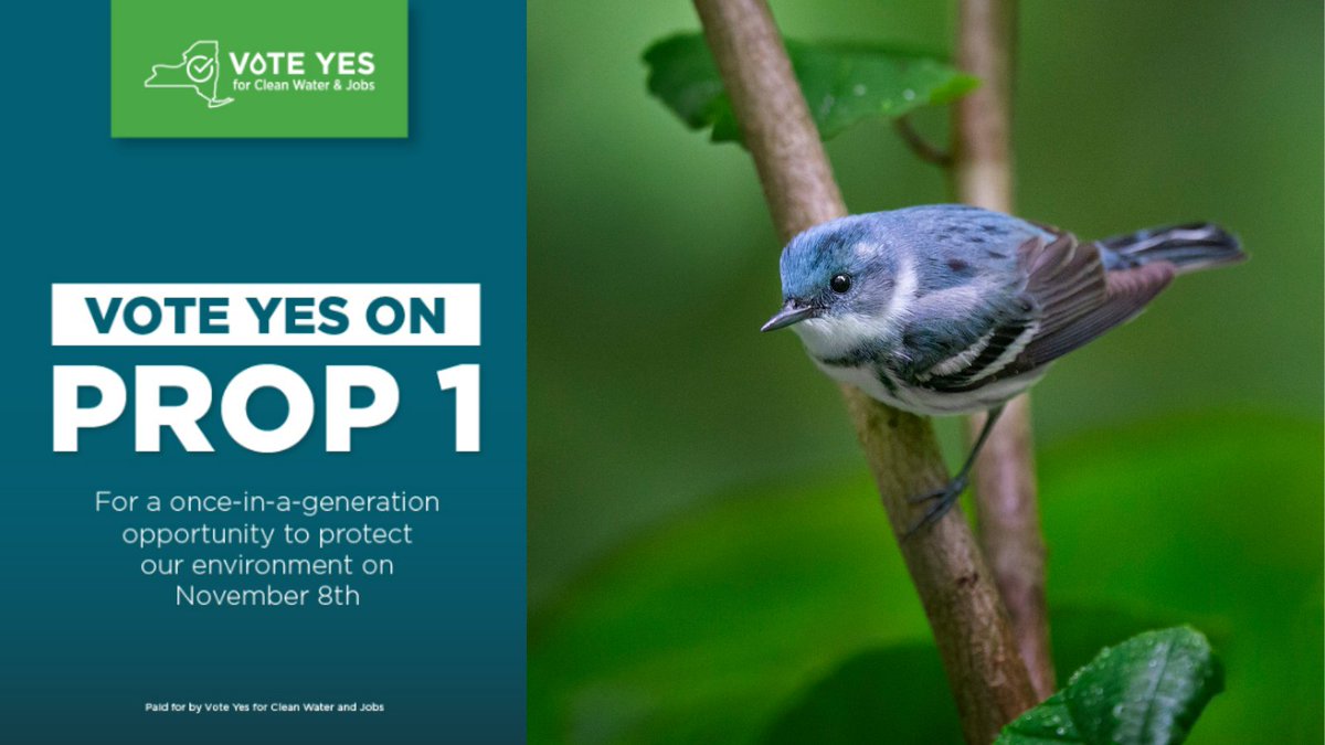 Tomorrow, VOTE YES on Prop 1 #NYBondAct to
☑️ Protect clean drinking water
✅ Conserve farms and wildlife habitats
☑️ Update sewers and stormwater systems
✅ Reduce pollution that causes climate change

ALL WITHOUT RAISING TAXES 
voteyescleanwaterandjobs.com/take-action