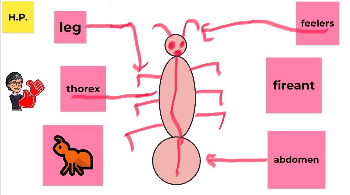Our brick-and-mortar classroom is closed, but our virtual classroom is open. Students made labelled diagrams of insects in our jamboard.