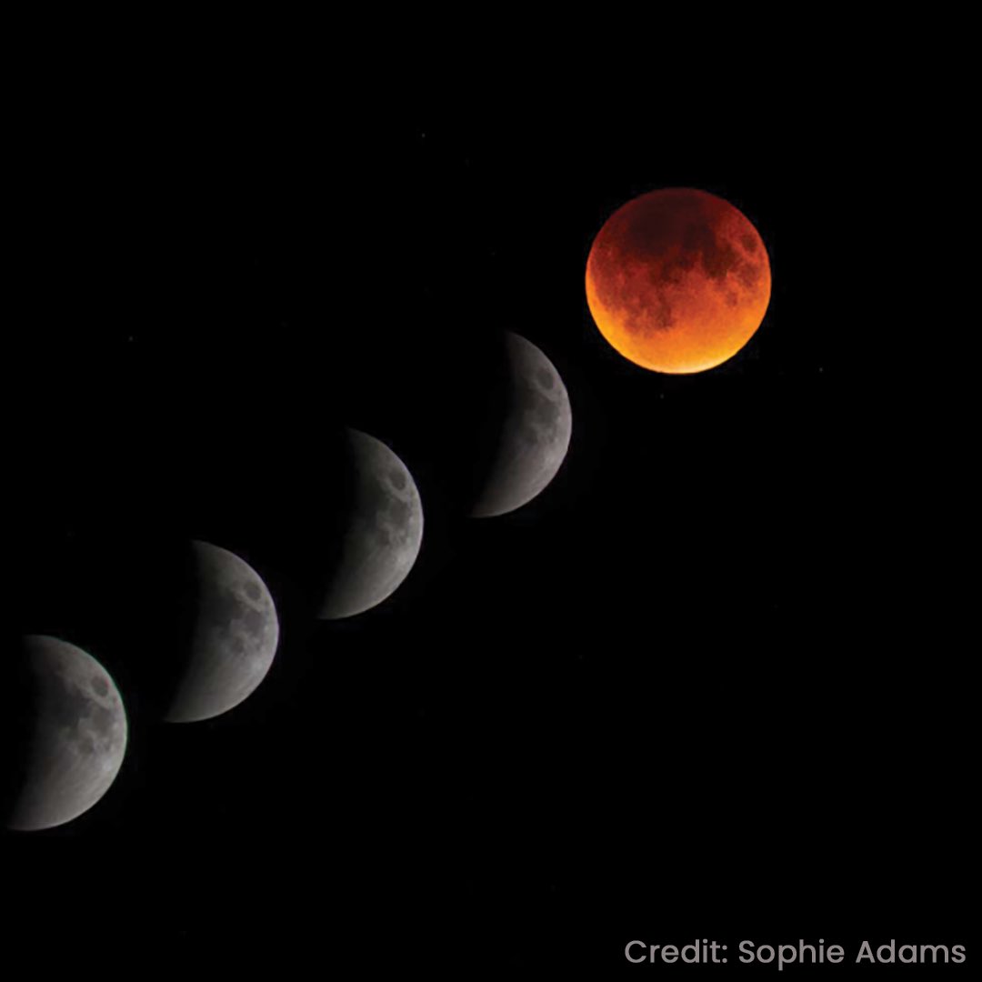 #TotalLunarEclipse tomorrow! Best time to check it out is during the total eclipse phase between 3:16-4:42am. 

No equipment needed! Just a curious spirit &amp; motivation to hop outta bed &amp; look up!