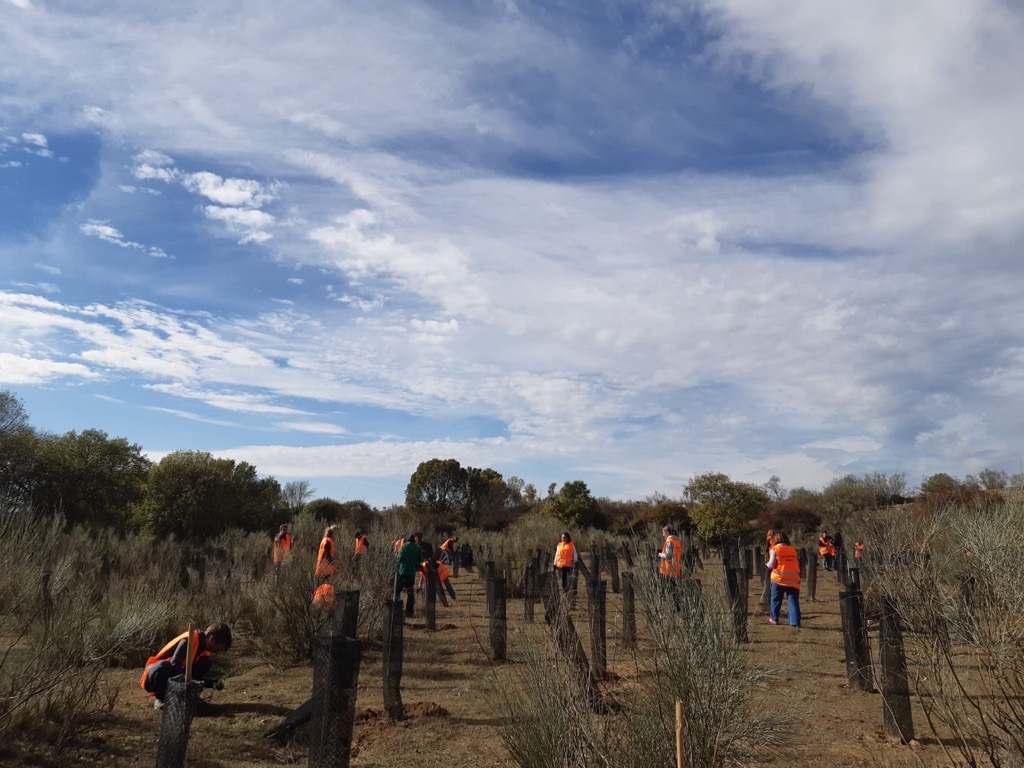 FundacionRepsol's tweet photo. Hoy los empleados de Fundación Repsol hemos tenido la oportunidad de participar en otra jornada de #Voluntariado en Torremocha de Jarama (Madrid), donde hemos colaborado en la reforestación de terrenos del municipio. ¡Muchísimas gracias a todos! #SembrandoFuturoParaTodos https://t.co/uAttl6KseW