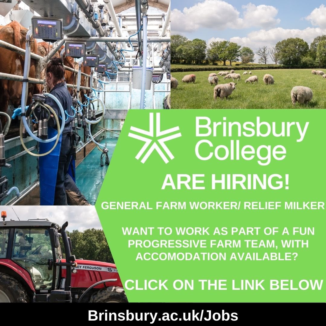 We’re hiring! Come and join our team on 220Ha estate with 150 dairy shorthorn cows and 160 ewes providing an excellent high welfare commercial resource for an outstanding college group. Follow the link on the post. Brinsbury.ac.uk/jobs for more information.