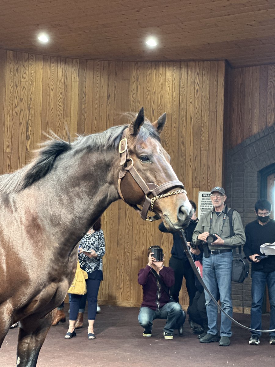 fujisawa_EG's tweet photo. WinStar Farm LLC にて
🐴Constitution🐴
#Constitution #WinStarFarm https://t.co/IRKPGBW8Xd