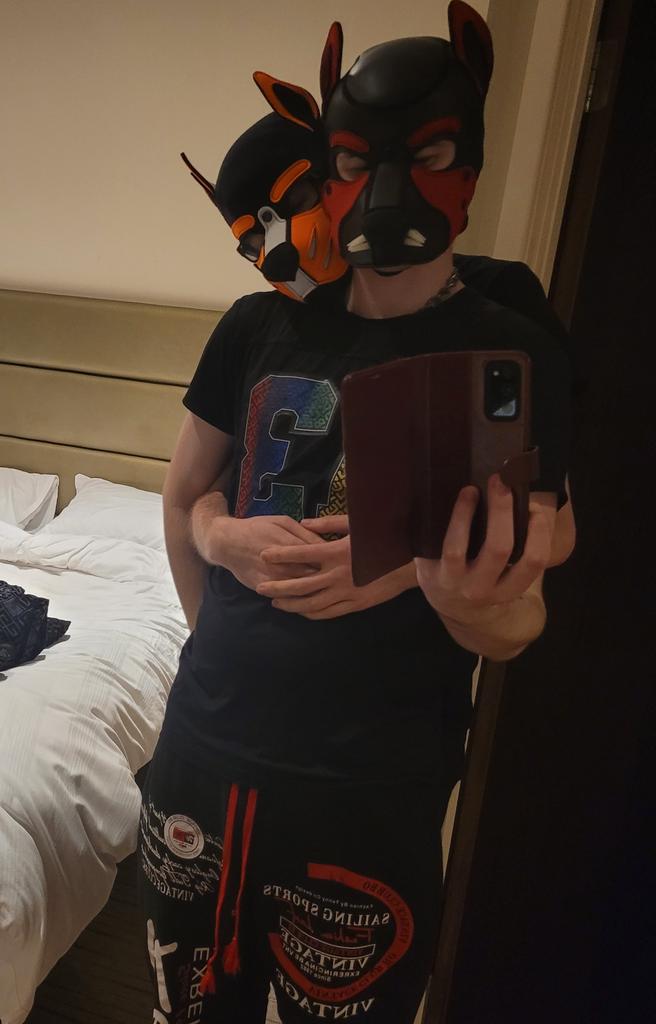 kaya_doggo's tweet photo. Had an amazing time at doggy weekend with the best boy @Hoshi_Doggo. And made soke new pup friends too 😊 https://t.co/GxLRr4FU7Y