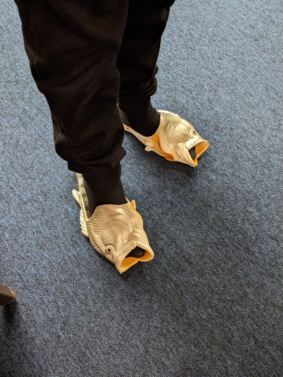 MrsMoyesP7's tweet photo. R earned 30 Dojo points and chose the reward of wearing his slippers in class, and what fantastic slippers they are! @ClassDojo #rewards #positivity #fishflops https://t.co/g1LMw940Tu