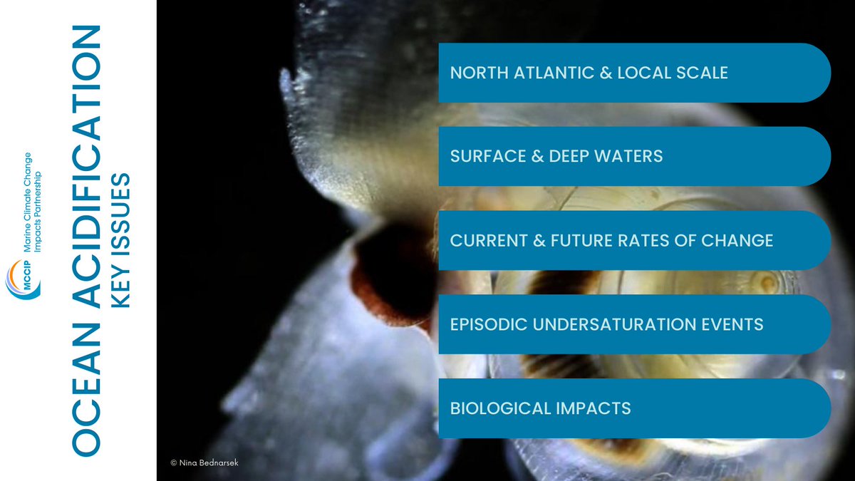 MCCIP (@mcciporguk) on Twitter photo NEW - Updated STRATIFICATION review paper and summary highlights now available online!
Find out more here: mccip.org.uk/ocean-acidific…
<a href="/PlymouthMarine/">Plymouth Marine Lab</a> NEW - Updated STRATIFICATION review paper and summary highlights now available online!
Find out more here: mccip.org.uk/ocean-acidific…
<a href="/PlymouthMarine/">Plymouth Marine Lab</a>