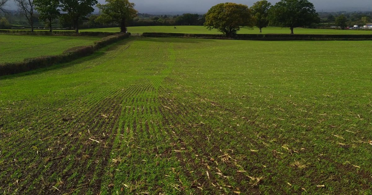 SKYAgri_UK's tweet photo. Results of section control being used on a 4m Sky EasyDrill in the South West. To find out more about this, and other features of the EasyDrill, speak to your local Sky Agriculture dealer.
Your local Sky dealer can be found here: https://t.co/bKJ17yoLn1
#sectioncontrol https://t.co/UL1n4bXRql