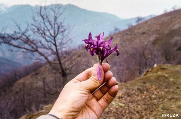 ArpadaraiNigar's tweet photo. 2 years ago, on 8 Nov, the 44 day war between #Armenia &amp; #Azerbaijan ended with liberation of Azerbaijani lands that were under Armenian occupation for 3 long decades. After years of darkness life finally returns to #Karabakh. 🇦🇿♥️ https://t.co/5PvgqVMggZ