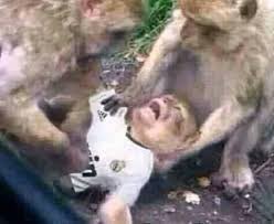 2T̨̐R̨̐Y̨̐Ą̐K̨̐ tweet media