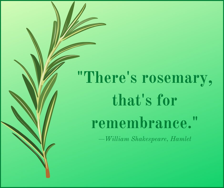 DON'T FORGET to sign up for "Herbs and the Holidays," our virtual event for members and prospective members, 11/11, noon to 1 p.m. Learn how to truly savor herbs all through the fall and winter! RSVP to member@impact100gardenstate.org. <a href="/impact100nj/">Impact100GardenState</a> #herbs