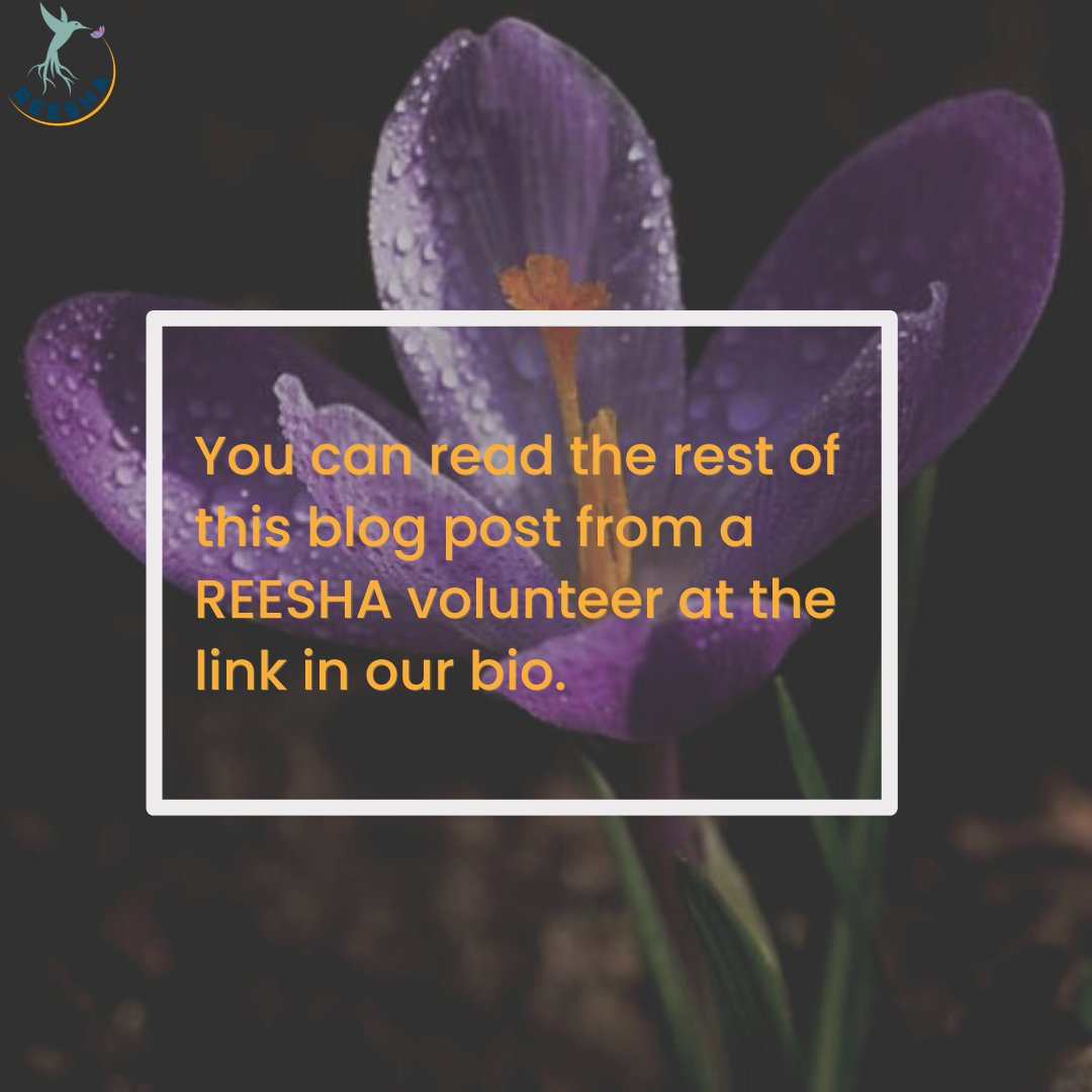 REESHA (@REESHA_Intl) / Posts / X