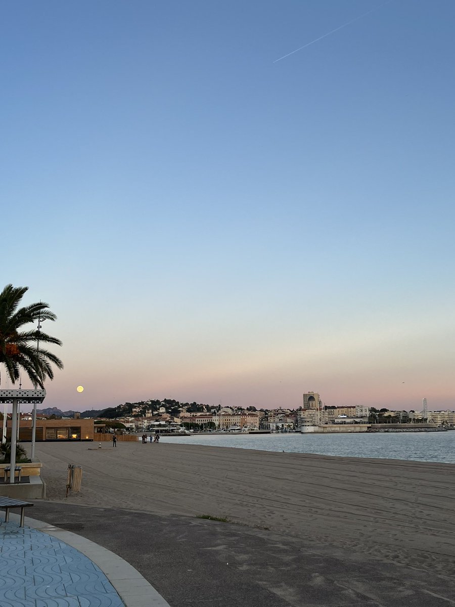 flvbdy's tweet image. y’a quelques années j’étais endormie sur ma table à la fac d’Amiens rêvant de vivre sous le soleil et face à la mer, aujourd’hui je descends de chez moi et je vois ça