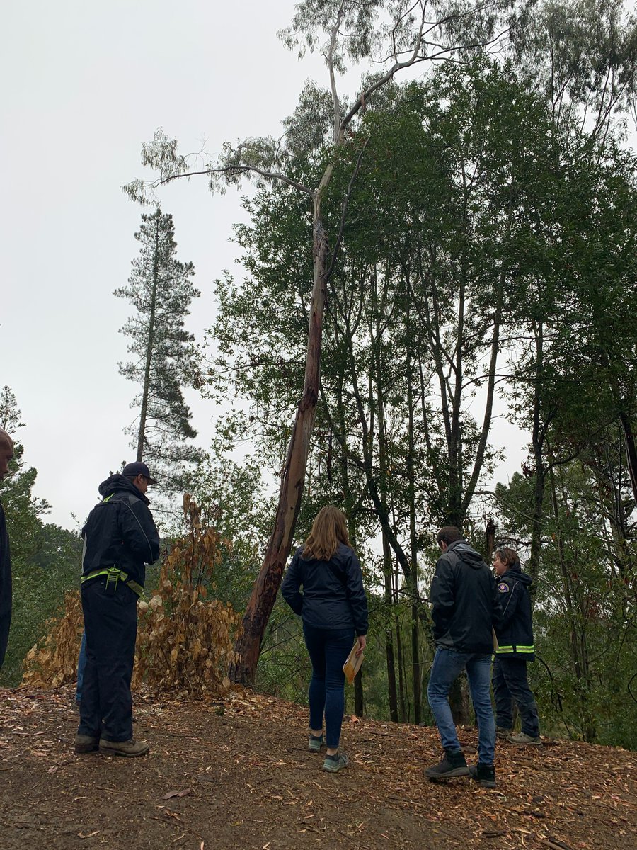 EBRPD GovAffairs (@ebrpdgovaffairs) on Twitter photo Great chance to discuss #WildfireResilience and #HealthyForests with <a href="/SenFeinstein/">Senator Dianne Feinstein</a> staff in the
<a href="/EBRPD/">East Bay Regional Park District</a> East Bay hills parks. Thank you Senator and staff for your leadership and commitment to conservation! Learn more: bit.ly/3hd8uoC Great chance to discuss #WildfireResilience and #HealthyForests with <a href="/SenFeinstein/">Senator Dianne Feinstein</a> staff in the
<a href="/EBRPD/">East Bay Regional Park District</a> East Bay hills parks. Thank you Senator and staff for your leadership and commitment to conservation! Learn more: bit.ly/3hd8uoC