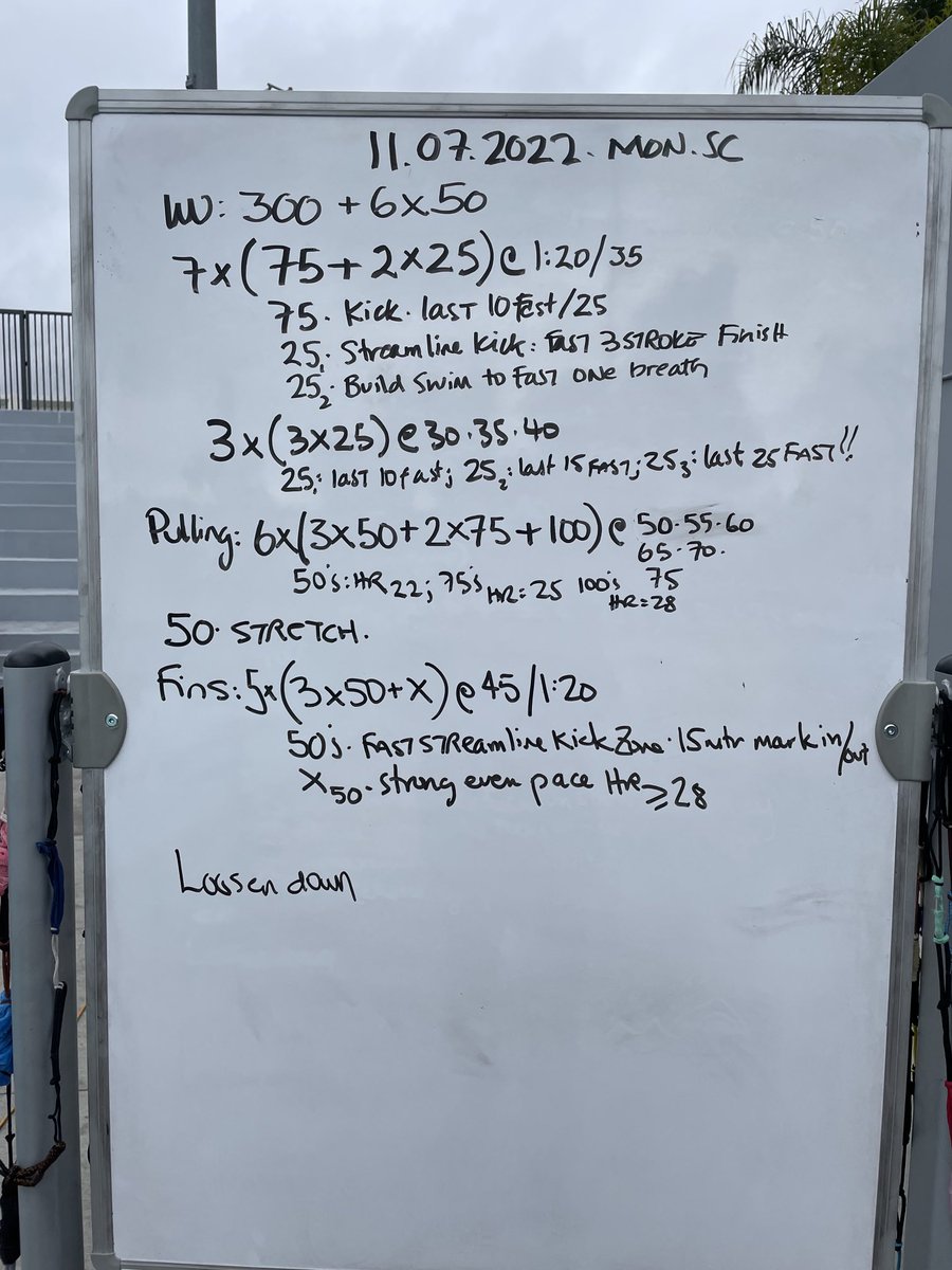 Dave Salo tweet media