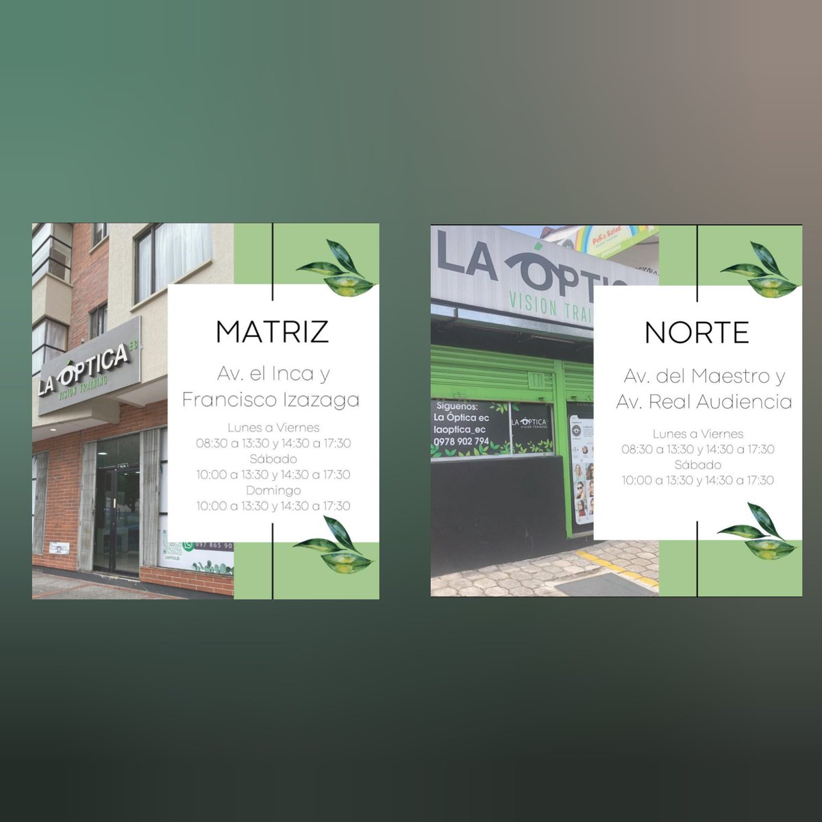Lady Miopía tweet media