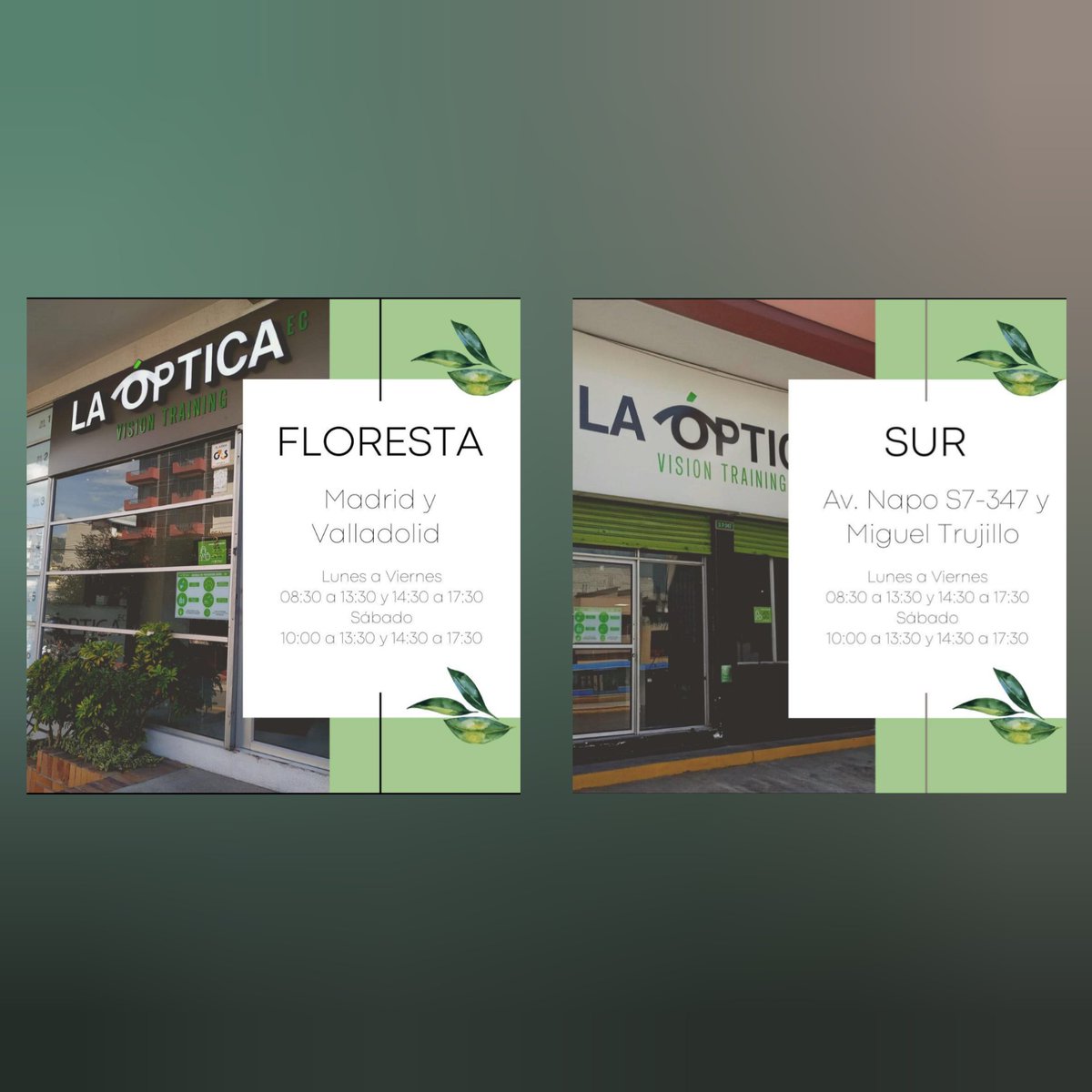 Lady Miopía tweet media