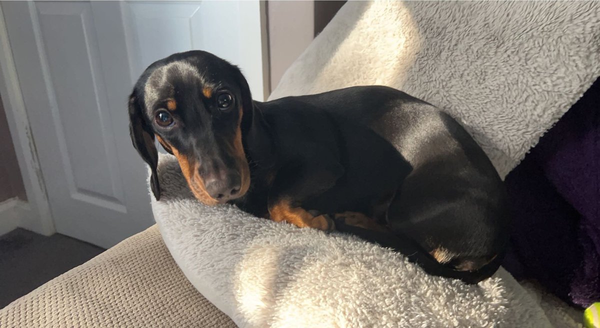 equimedia tweet media