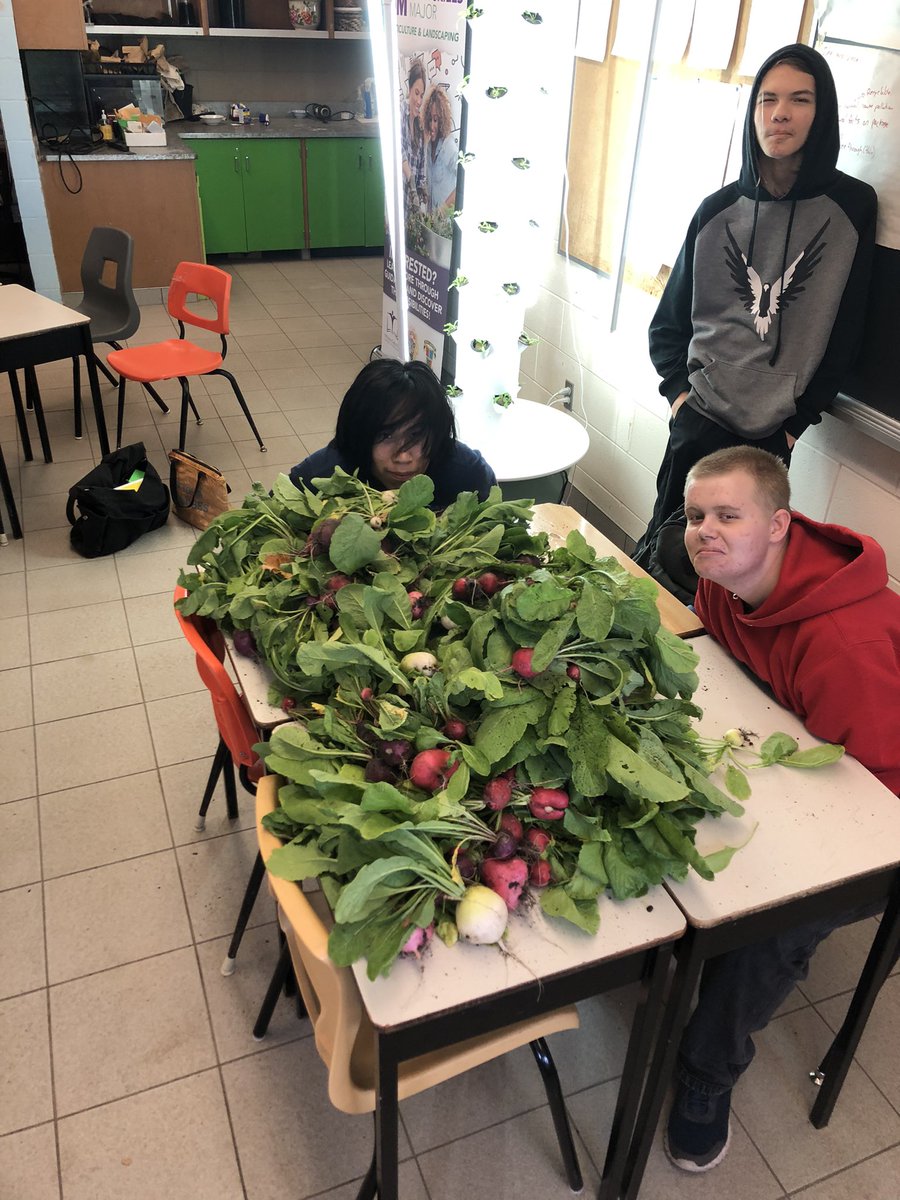 derek brez tweet media