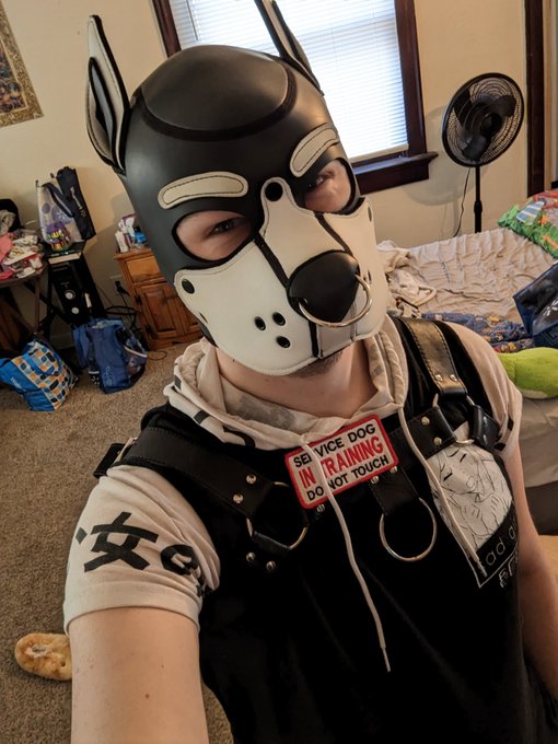 #PupPlay #NSFW https://t.co/F6u81dewkI<a href="/tag/pupplay"class="tags">#PupPlay</a><a href="/tag/nsfw"class="tags">#NSFW</a>