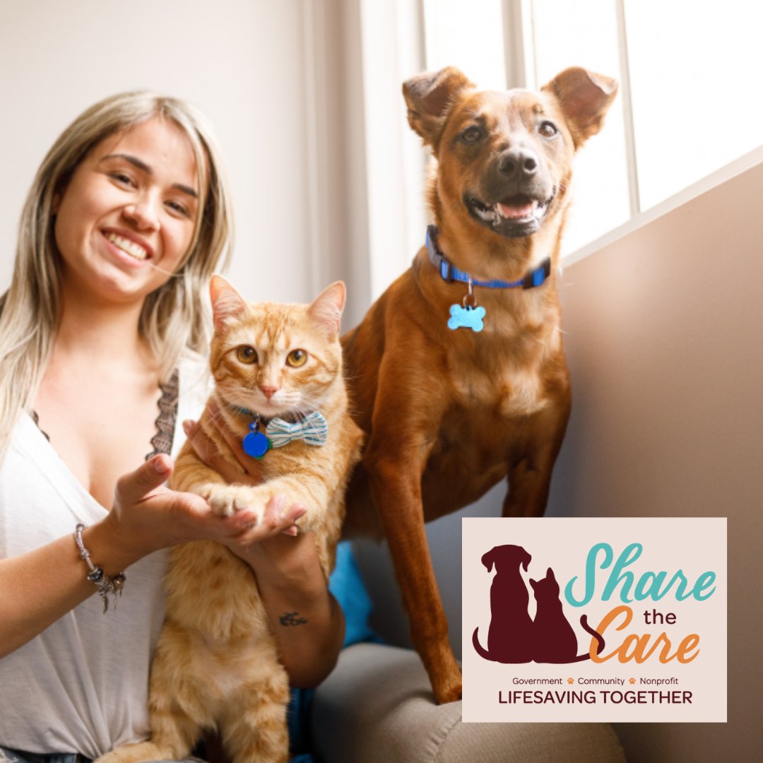 Can Most Dogs Find Their Way Home