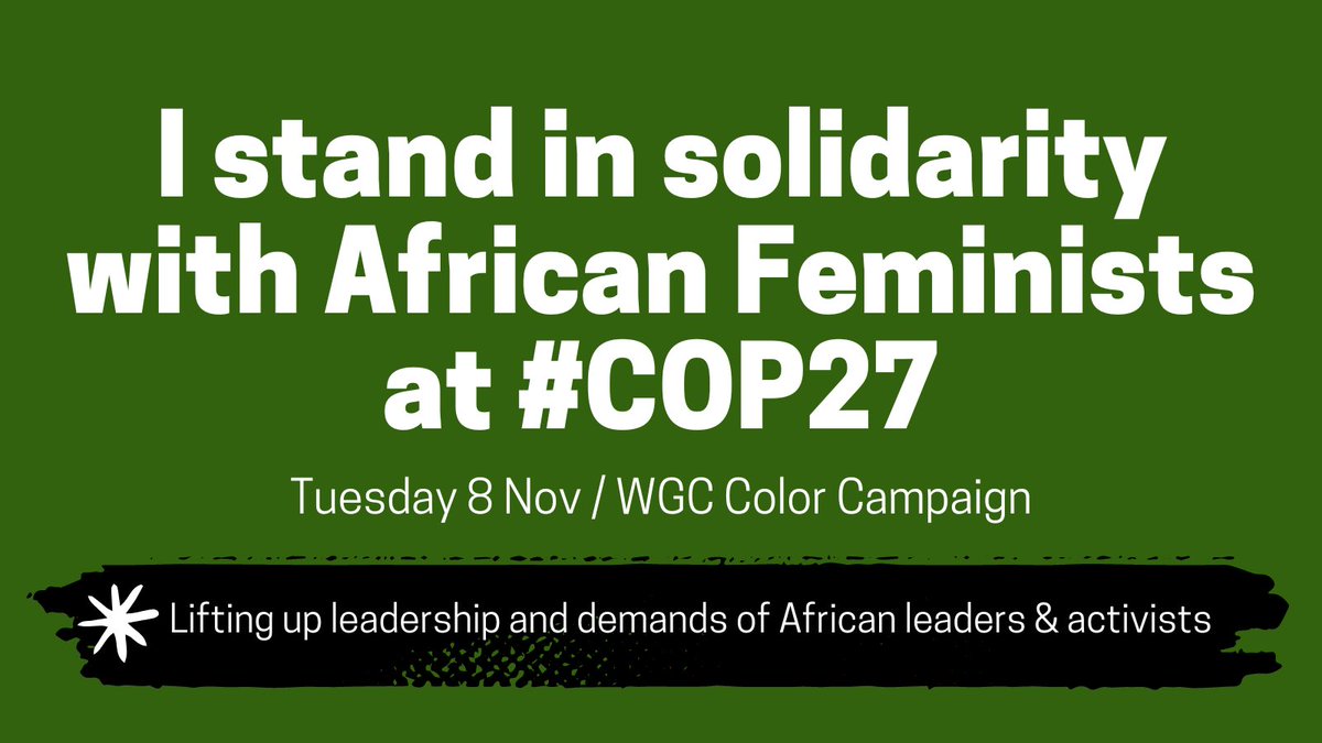 African women &amp; girls–our voices, and solutions–are too often left out of decision-making spaces. This is also true in the context of #ClimateChange. At #COP27 , we will be insisting that our leadership be centered. 

Looking forward to African Feminist Day tomorrow! <a href="/WGC_Climate/">Women & Gender Constituency</a>
