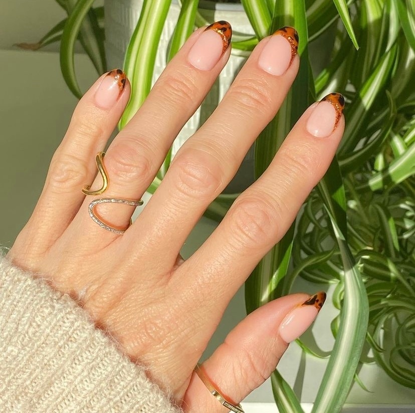 SalonGold's tweet photo. Autumn is for tortie shell and glitter nails💁♀️✨
📸@zeeceebeauty
#nails #nailsaddict #nailsalon #nailsart #nailsdesign #nailsdid #autumnnails #frentips #tortienails #tortoiseshellnails #glitternails https://t.co/1niEQMHVD7