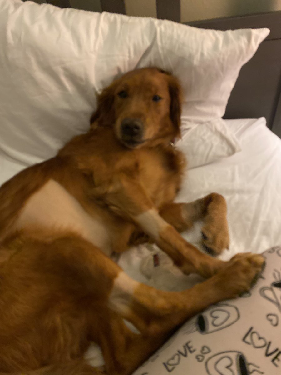 kcrumback's tweet image. Morning all!!